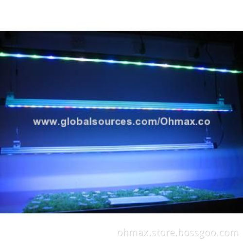 Waterproof LED poultry grow lights for meat production of chicken/turkey, animals and farm